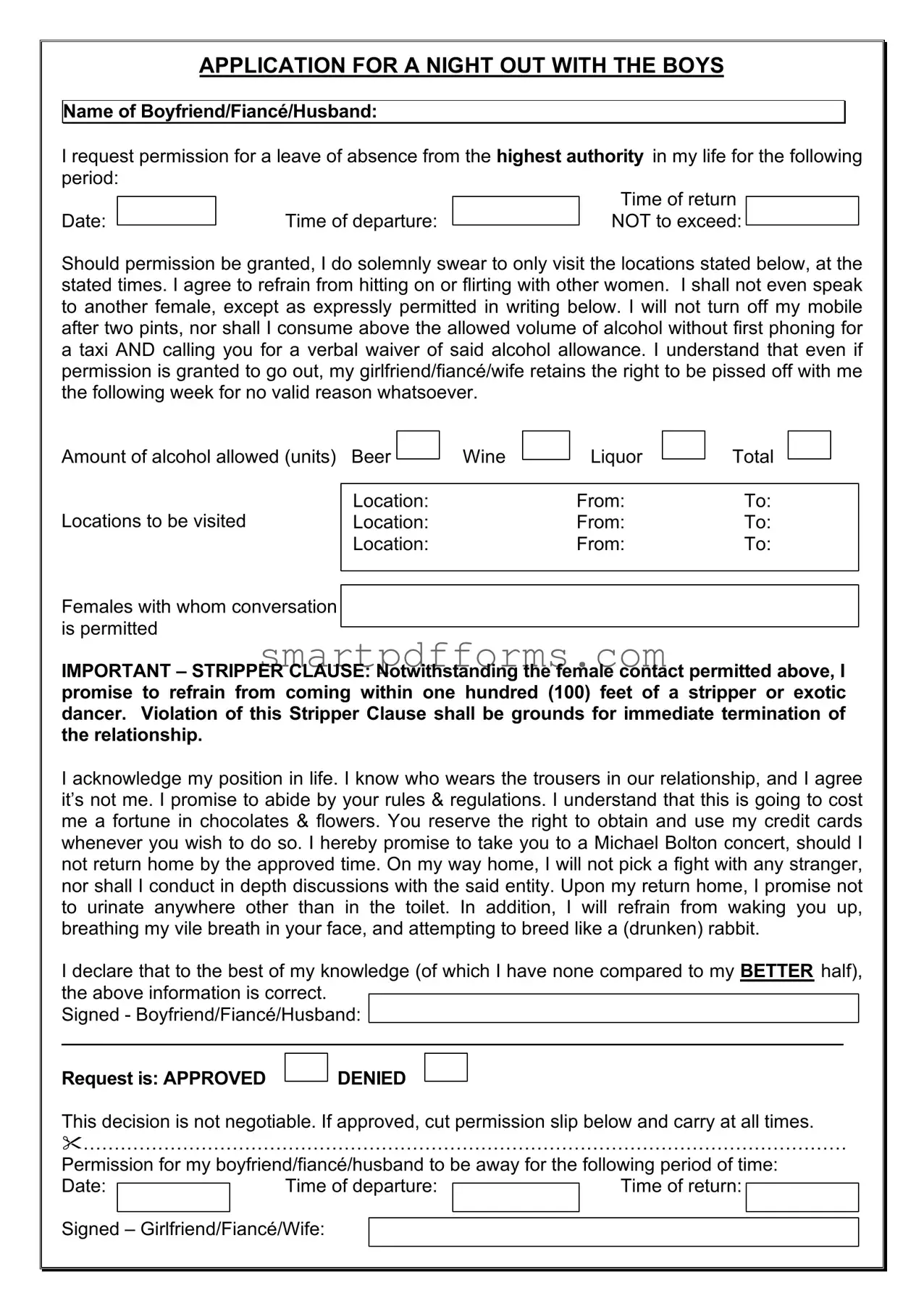Blank Application For Night Out With Boys PDF Template