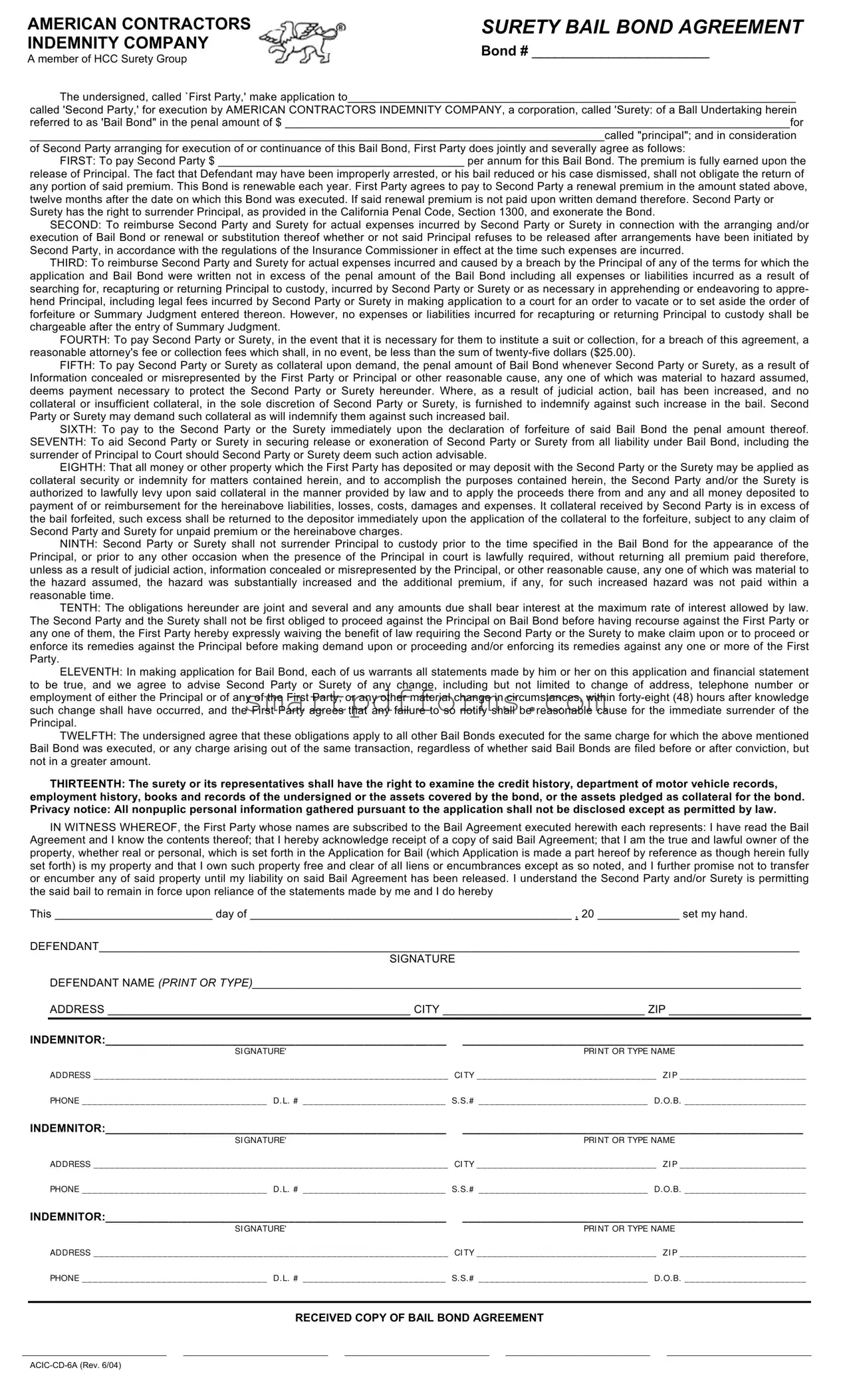 Blank Bail Bond Release Paperwork PDF Template