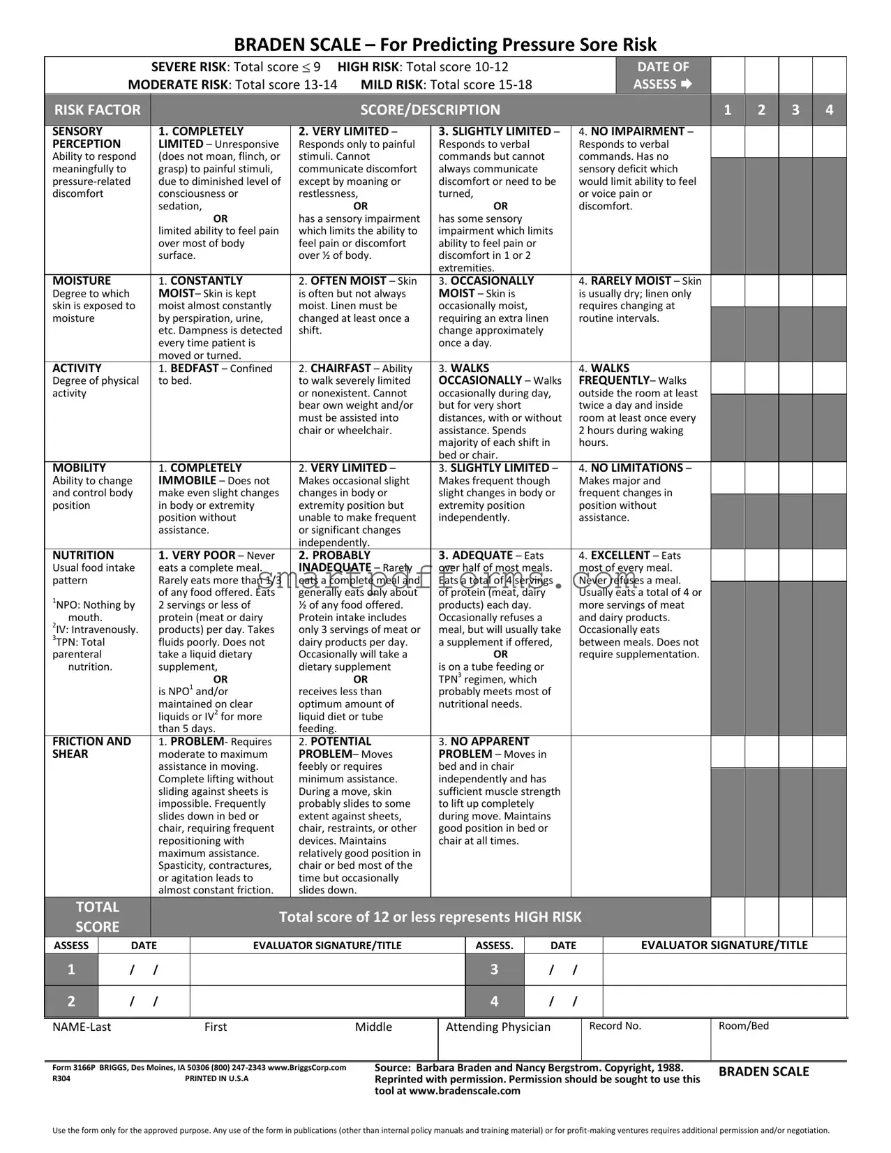 Blank Braden Scale PDF Template