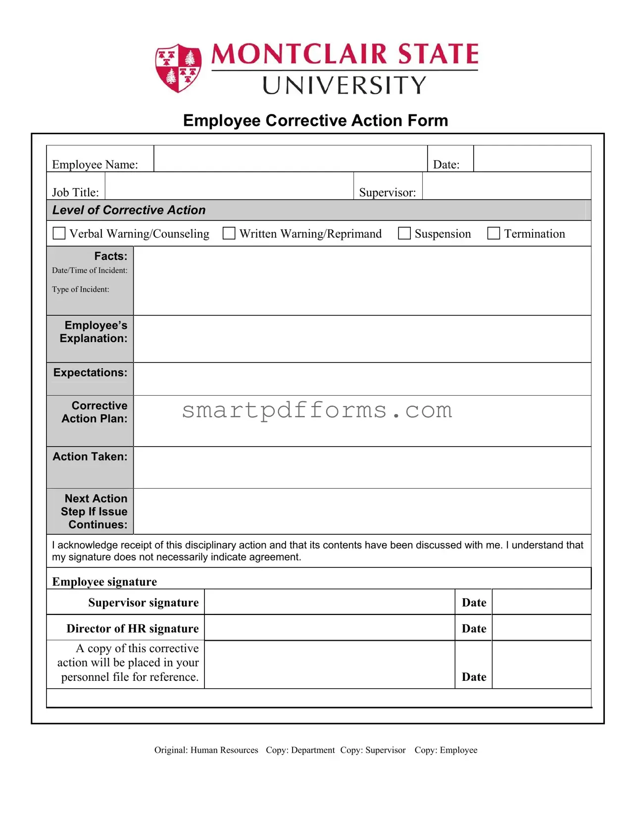 Blank Corrective Action PDF Template