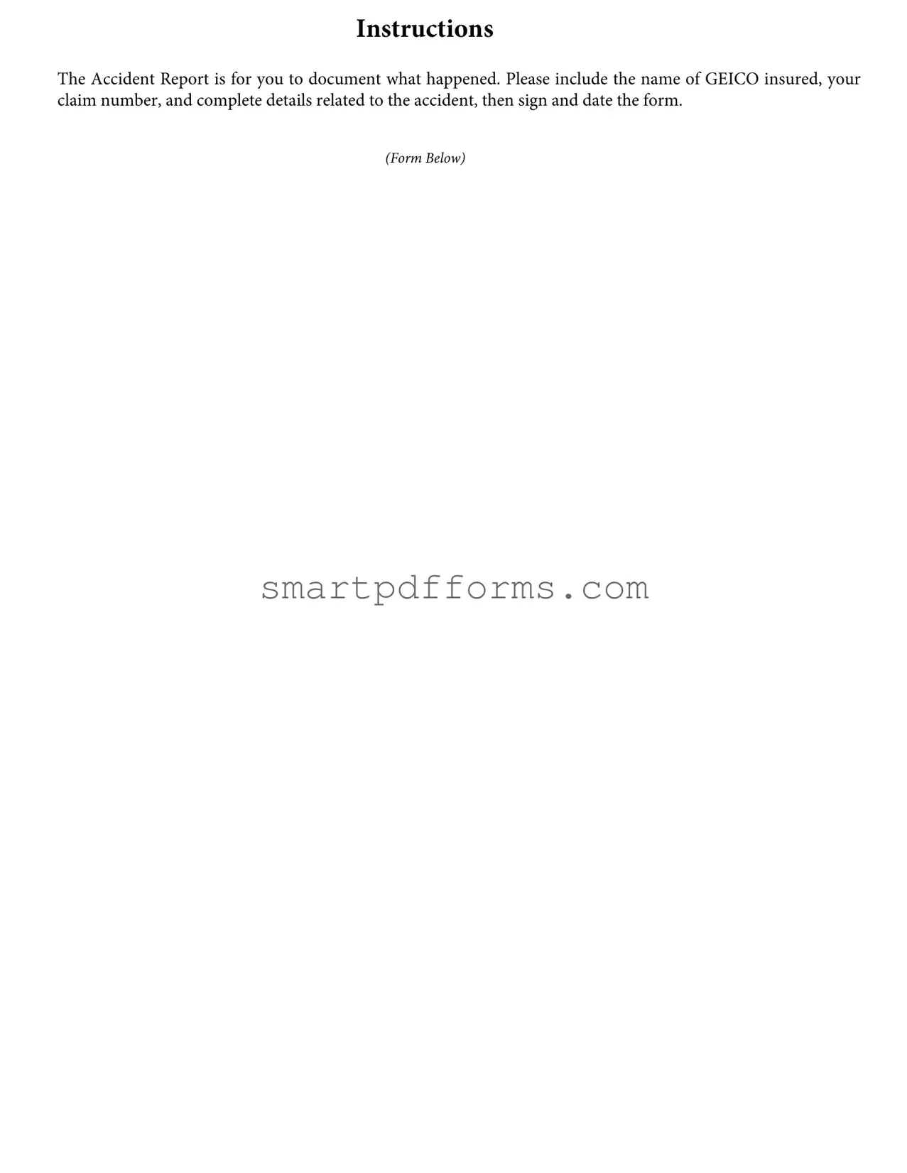 Blank Geico Claim Report PDF Template