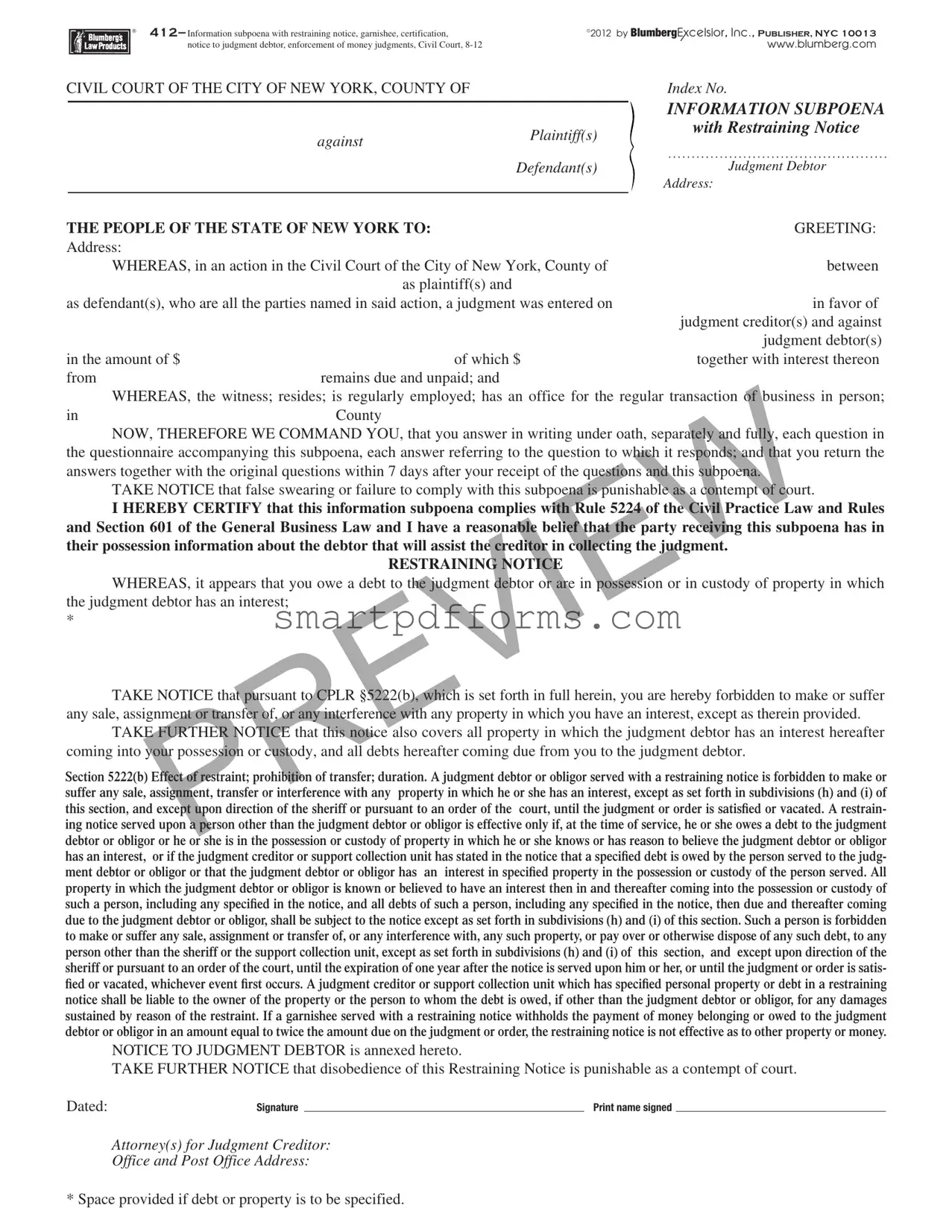 Blank Ny Restraining Notice PDF Template