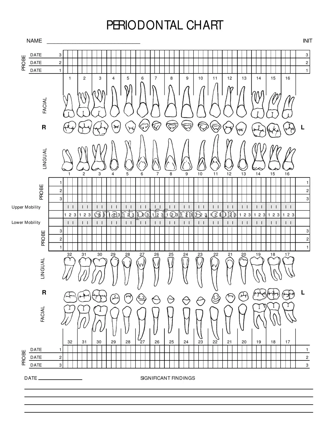 Blank Perio Chart PDF Template