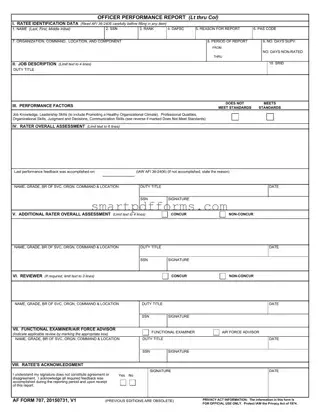 Blank Af 707 PDF Template