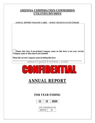 Blank Arizona Annual Report PDF Template