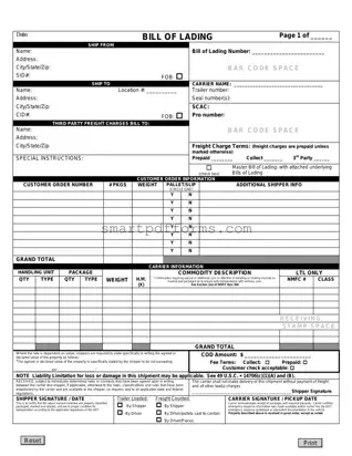 Blank Bill Of Lading PDF Template