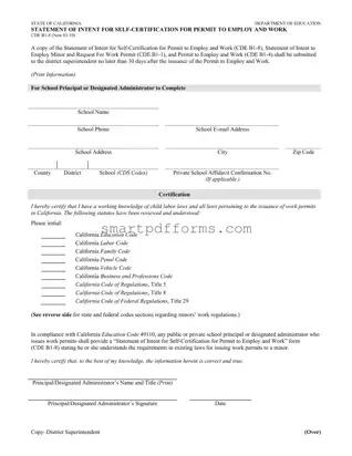 Blank Cde B1 8 PDF Template