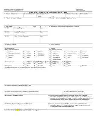 Blank Cms 485 PDF Template