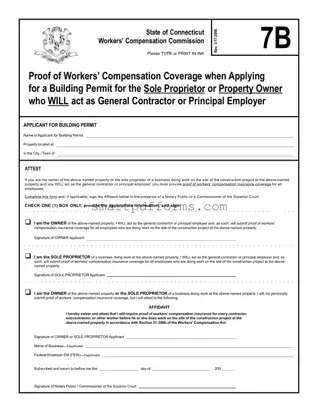Blank Connecticut 7B PDF Template