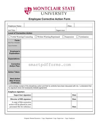 Blank Corrective Action PDF Template