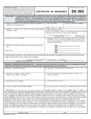 Blank De Ins Illinois PDF Template