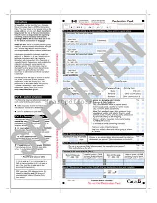 Blank Declaration Canada E311 PDF Template