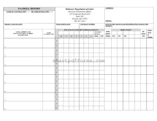 Blank Delaware Payroll Report PDF Template