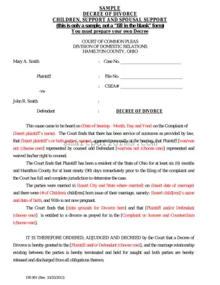 Blank Divorce Decree Sample PDF Template