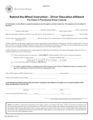 Blank Dl 90B Affidavit PDF Template