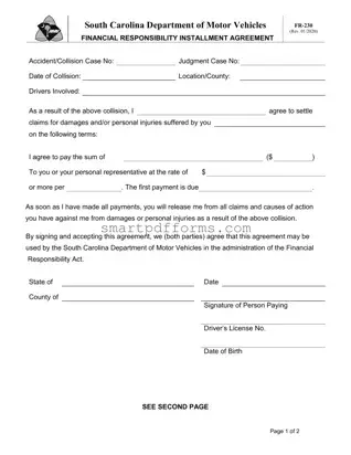 Blank Dmv Fr 230 PDF Template