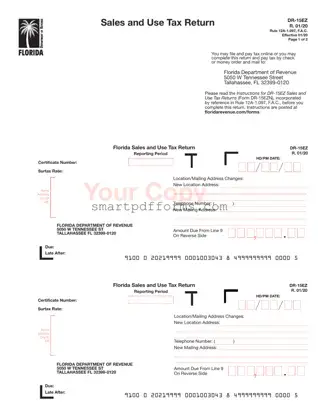Blank Dr 15Ez Sales Tax PDF Template