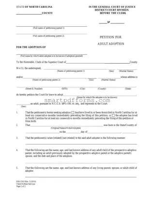 Blank Dss 5163 PDF Template