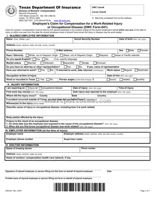 Blank Dwc 041 PDF Template