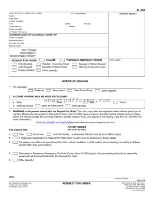 Blank Fl 300 PDF Template