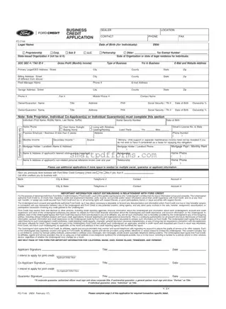 Blank Ford Business Credit Application PDF Template