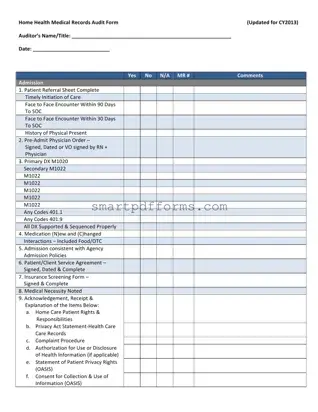 Blank Home Health Audit PDF Template