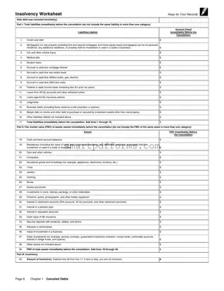 Blank Insolvency Irs PDF Template