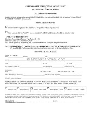 Blank International Driving Permit Application PDF Template