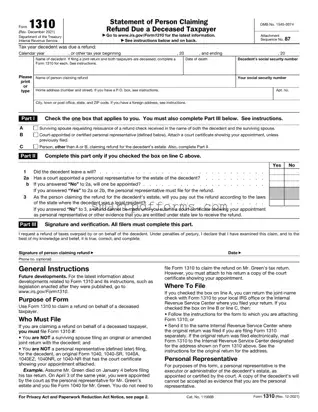 Blank IRS 1310 PDF Template