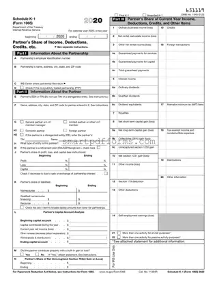 Blank IRS Schedule K-1 1065 PDF Template