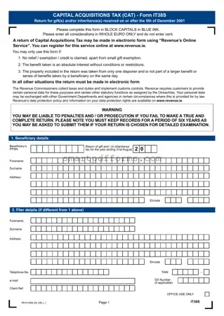 Blank It38 PDF Template