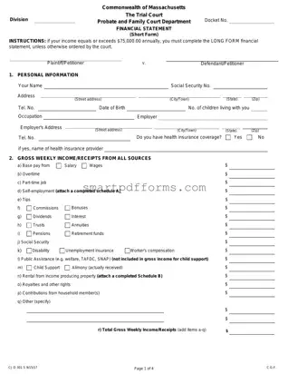Blank Massachusetts Short Financial Statement PDF Template