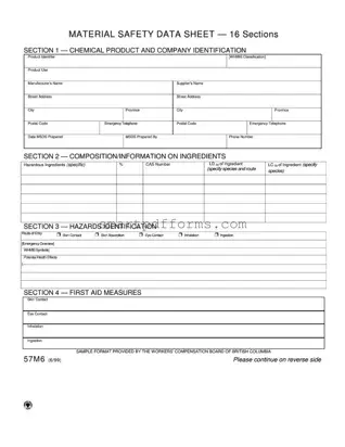 Blank Material Safety Sheet PDF Template