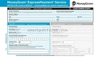 Blank Moneygram Express Payment PDF Template