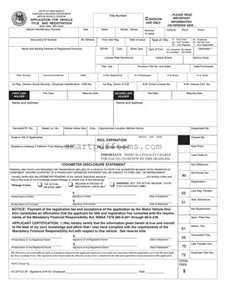 Blank Mvd 10002 PDF Template