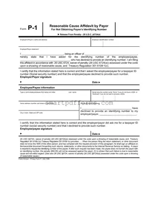 Blank P 1 PDF Template