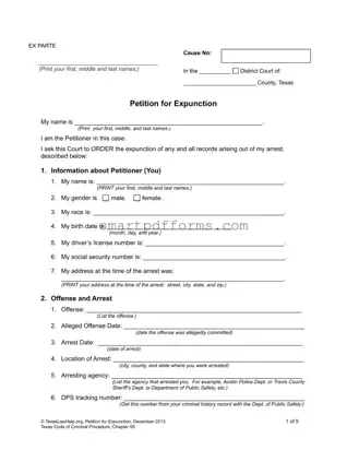 Blank Petition Expunction Texas PDF Template