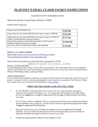 Blank Placer County Superior Court PDF Template