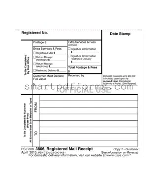 Blank Ps 3806 PDF Template