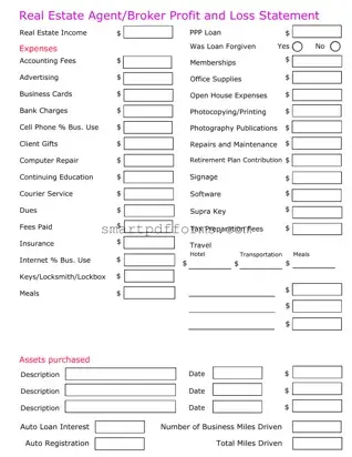 Blank Real Estate Agent Profit PDF Template