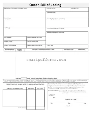 Blank Sample Ocean Bill Of Lading PDF Template