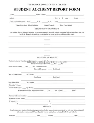 Blank School Accident Report PDF Template