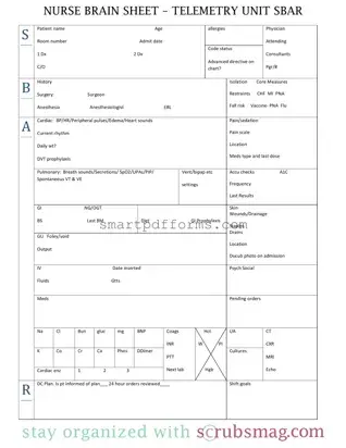 Blank Sheet Telemetry PDF Template