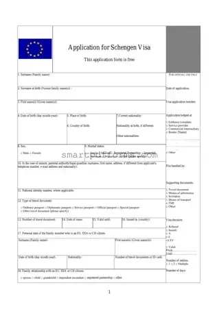 Blank Spain Application Visa PDF Template