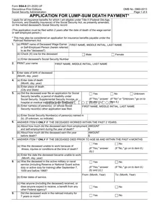 Blank Ssa 8 PDF Template