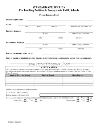 Blank Standard Pa Application PDF Template