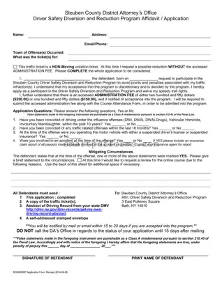 Blank Steuben County Driver Diversion Program PDF Template