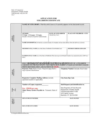 Blank Stillbirth Certificate PDF Template