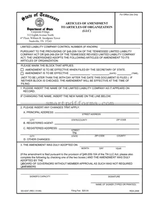 Blank Tennessee Ss 4247 PDF Template