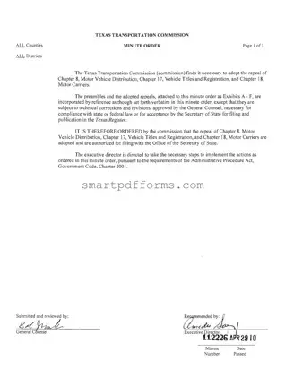 Blank Texas Temporary Tags PDF Template